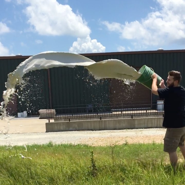 Using Real Milk Paint as a natural fertilizer