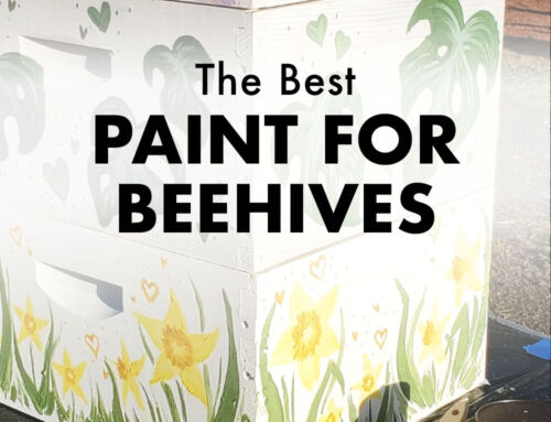 Best Paint For Bee Hives