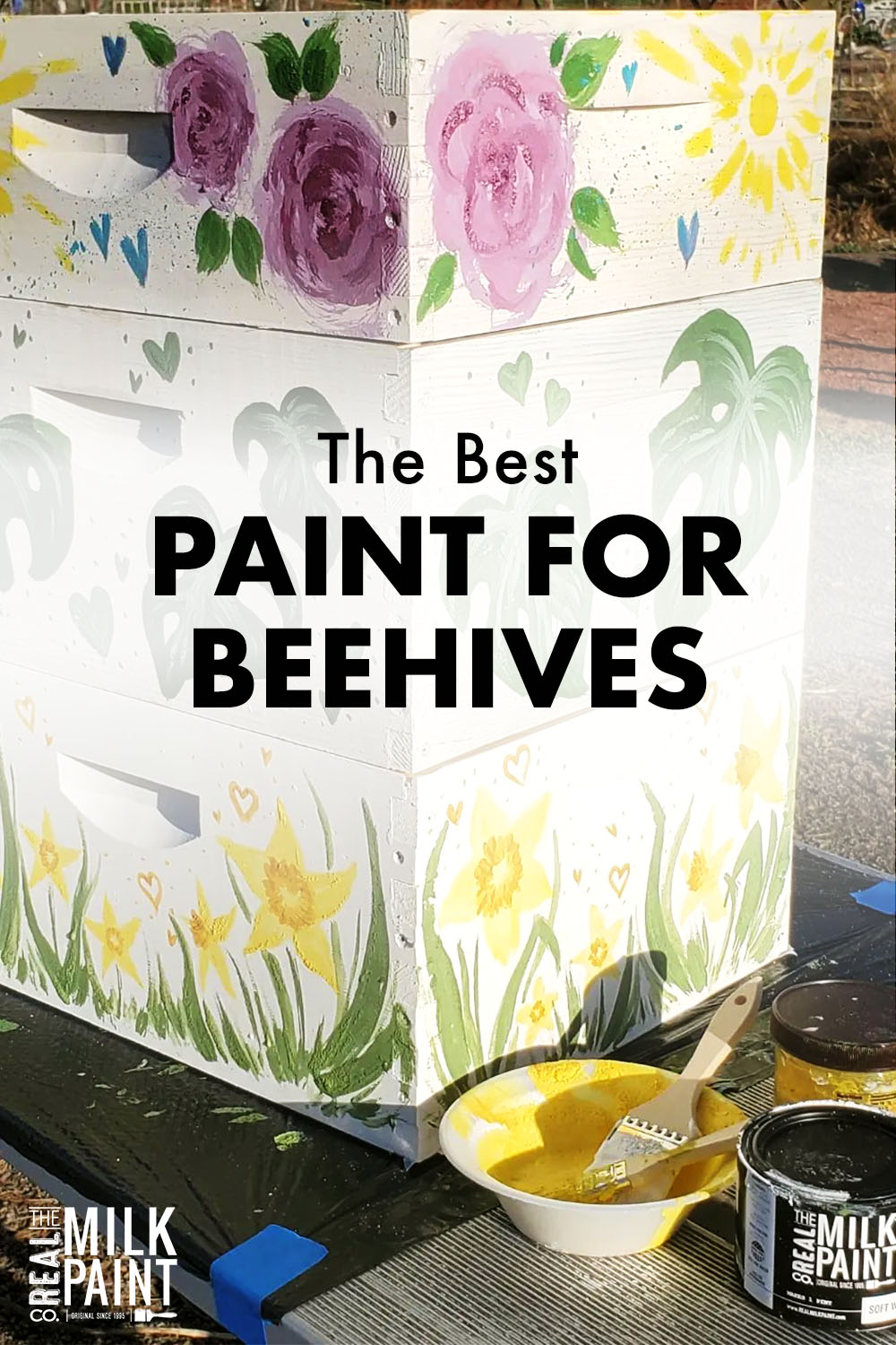 BestPaintForBeehives BlogMain