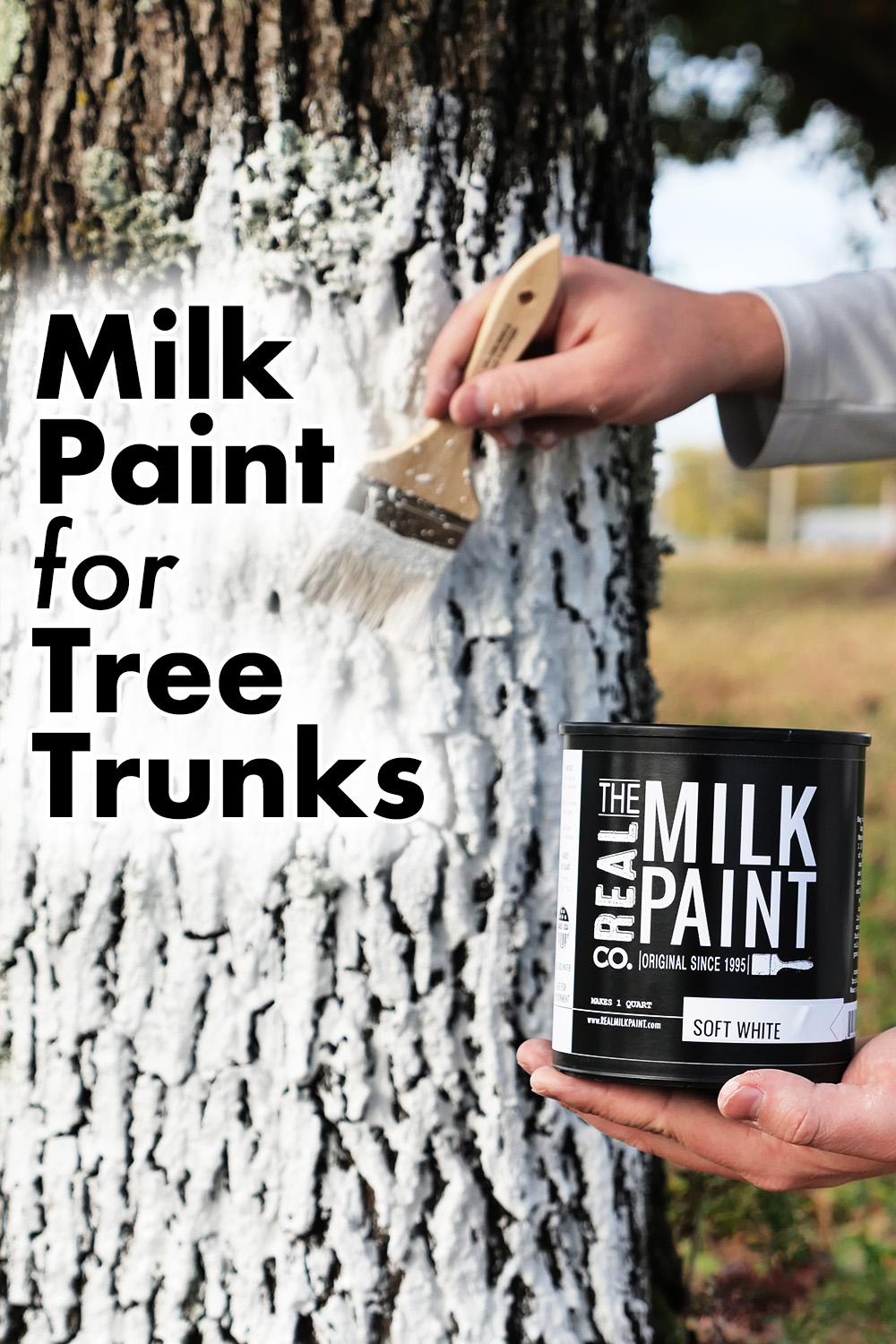 Milk Paint For Tree Trunks