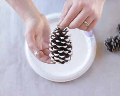 pinecone painted with white real milk paint