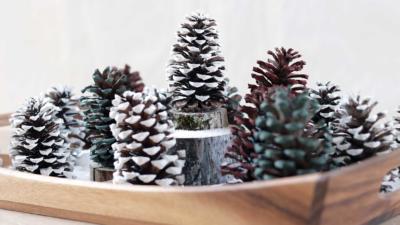 pine cone Christmas trees placed in a tray