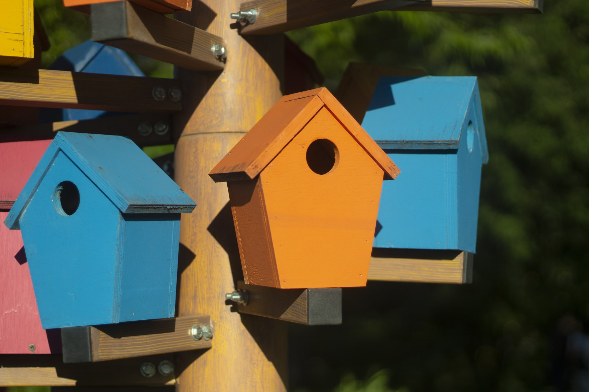 Why Real Milk Paint is Right Paint for Birdhouses