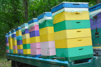 Colorful Painted Bee hives