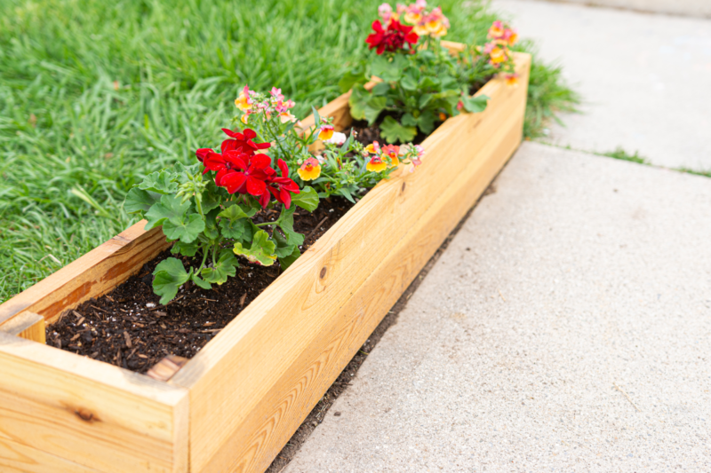 eco-friendly non-toxic wooden planters