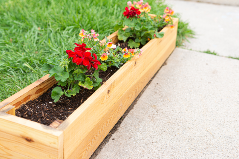 raised garden bed with flowers using the best wood finish for garden boxes from Real Milk Paint
